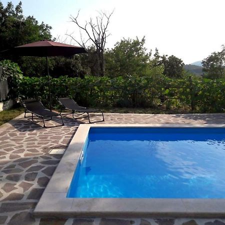 Apartment Nada With Private Pool Buzet Buitenkant foto