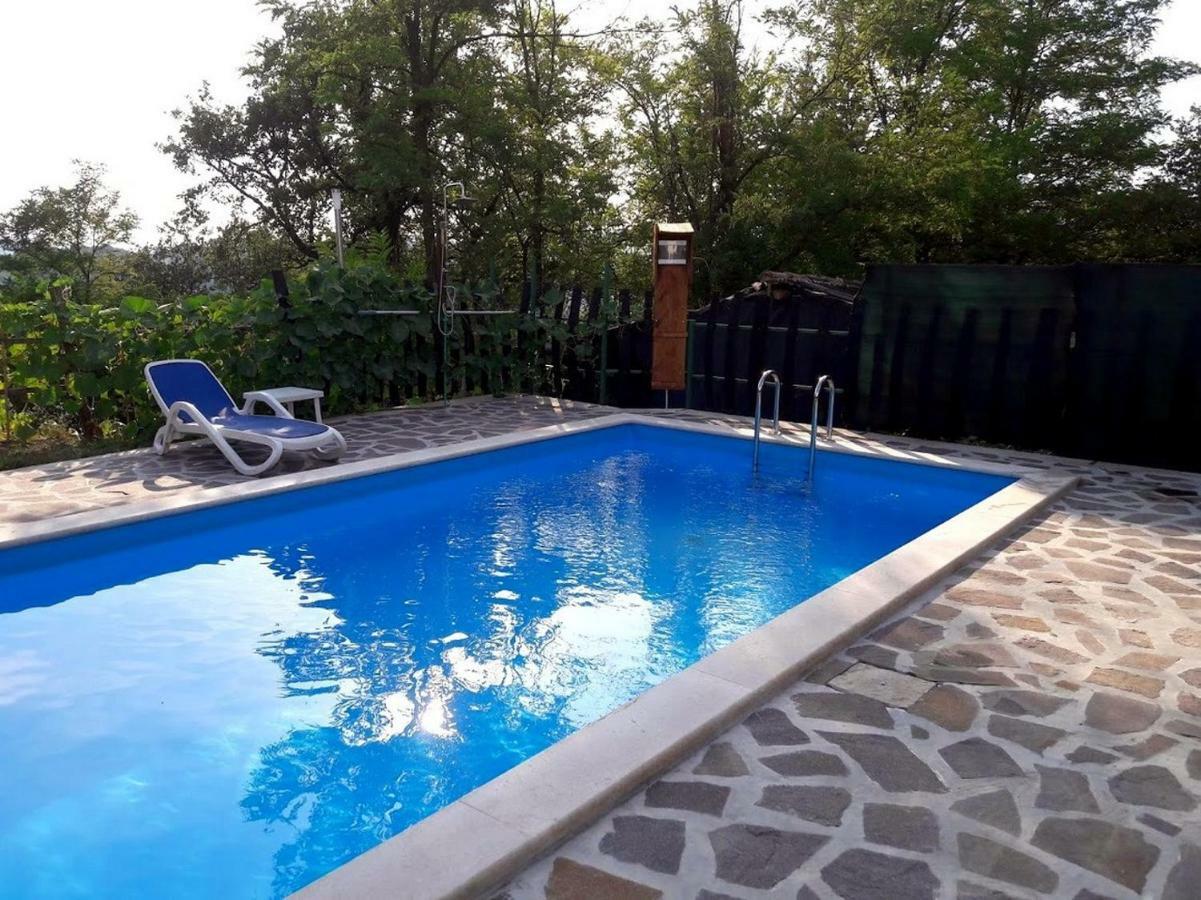 Apartment Nada With Private Pool Buzet Buitenkant foto