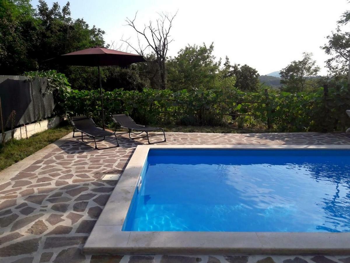 Apartment Nada With Private Pool Buzet Buitenkant foto